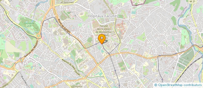localisation de l'entreprise MADAME AGNES FLANDRE à MONTPELLIER