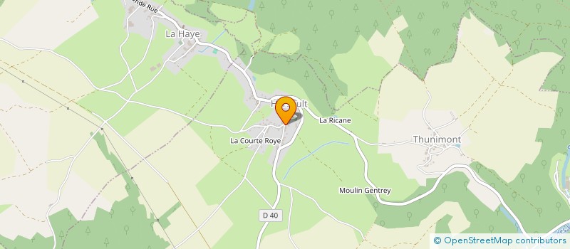 localisation de l'entreprise MADAME AGNES FOUCHECOURT  LA VOGE-LES-BAINS