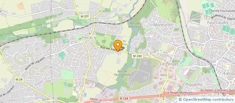 localisation de l'entreprise MADAME AGNES LESTANG  PIBRAC