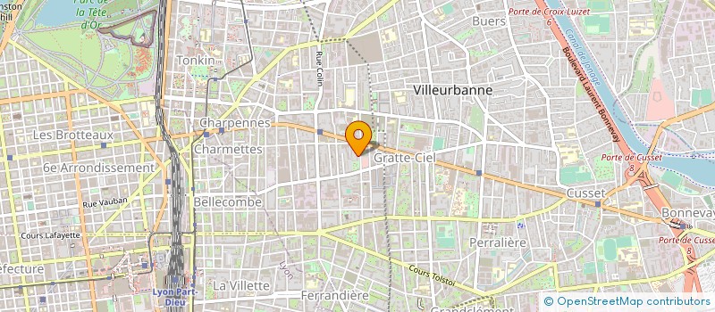 localisation de l'entreprise MADAME AGNES LEVIN à VILLEURBANNE