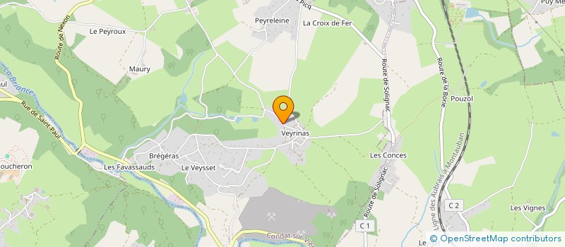 localisation de l'entreprise MADAME AGNES LIBOUTHET  CONDAT-SUR-VIENNE