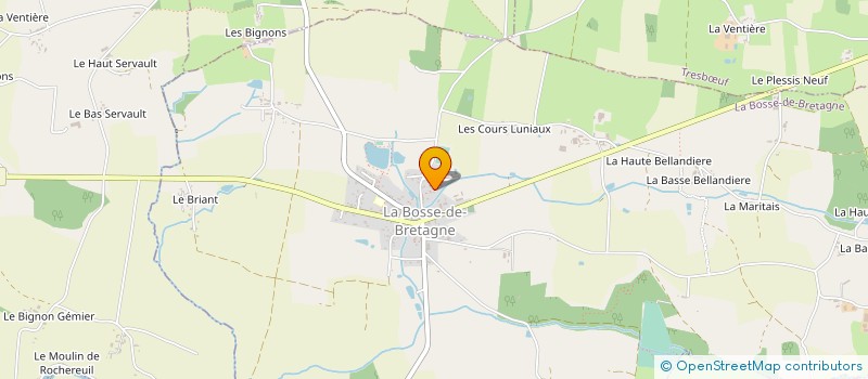 localisation de l'entreprise MADAME AGNES MARSOLIER  LA BOSSE-DE-BRETAGNE