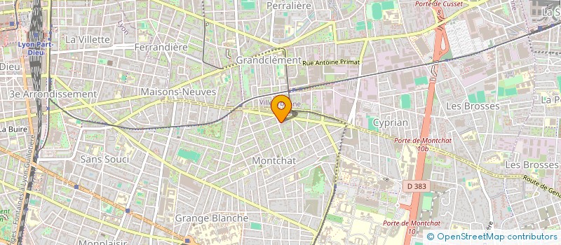 localisation de l'entreprise MADAME AGNES ROCHET  LYON