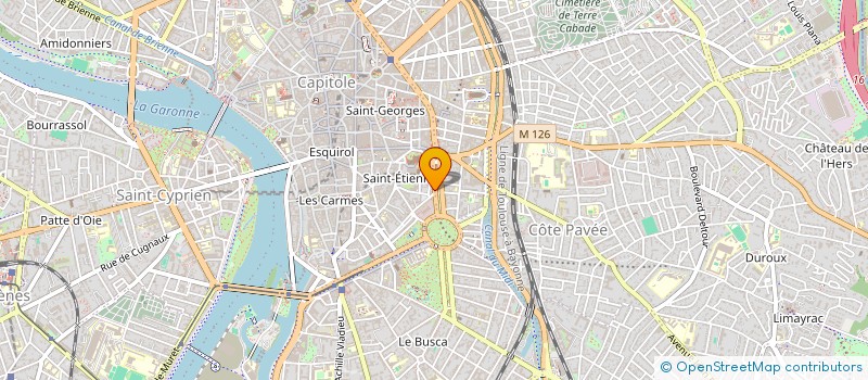 localisation de l'entreprise MADAME AGNES SOULEAU  TOULOUSE