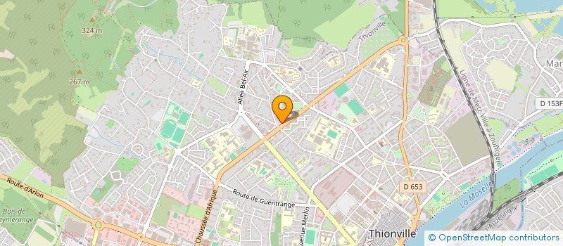 localisation de l'entreprise MADAME AGNES TEIXEIRA  THIONVILLE