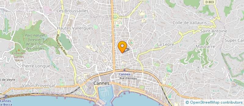 localisation de l'entreprise MADAME AHLAM BOUDEGHDEGH  CANNES