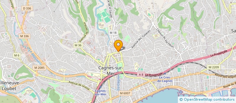localisation de l'entreprise MADAME AHLAM HMIMOU à CAGNES-SUR-MER