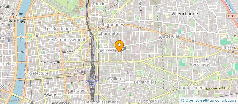 localisation de l'entreprise MADAME AHLEM ZAZ  LYON