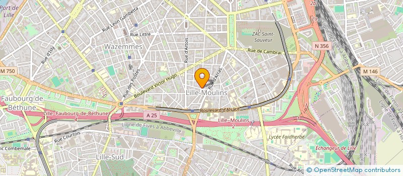 localisation de l'entreprise MADAME AICHA BEL MAHI à LILLE