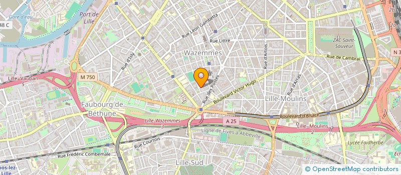 localisation de l'entreprise MADAME AICHA KABA à LILLE