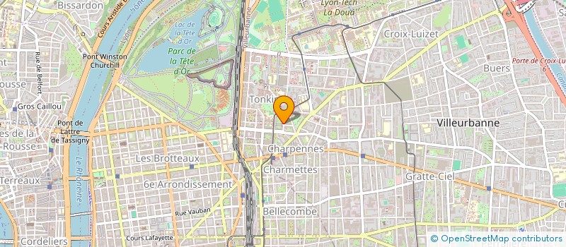 localisation de l'entreprise MADAME AICHA SAID YSSOUFA  VILLEURBANNE