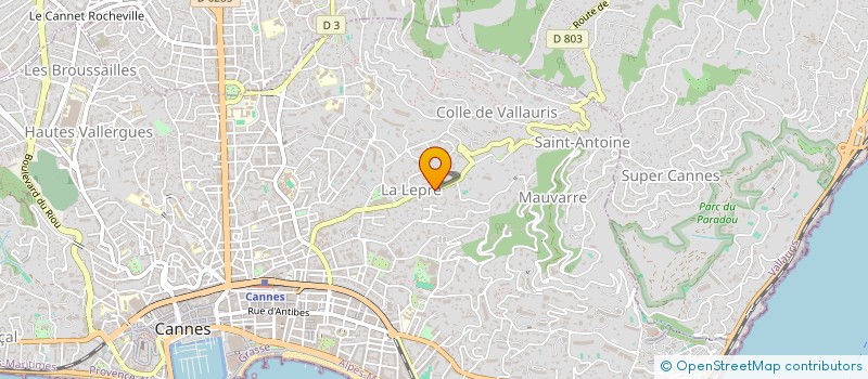 localisation de l'entreprise MADAME AILEN ARAYA  CANNES