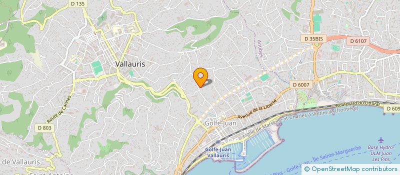 localisation de l'entreprise MADAME AILIN POLLIO SAN PEDRO  VALLAURIS