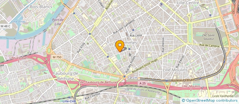 localisation de l'entreprise MADAME AIMKHALTOME BOUBACIR à LILLE