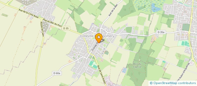 localisation de l'entreprise MADAME AISSA ABDOURAHAMAN  COLLEVILLE-MONTGOMERY
