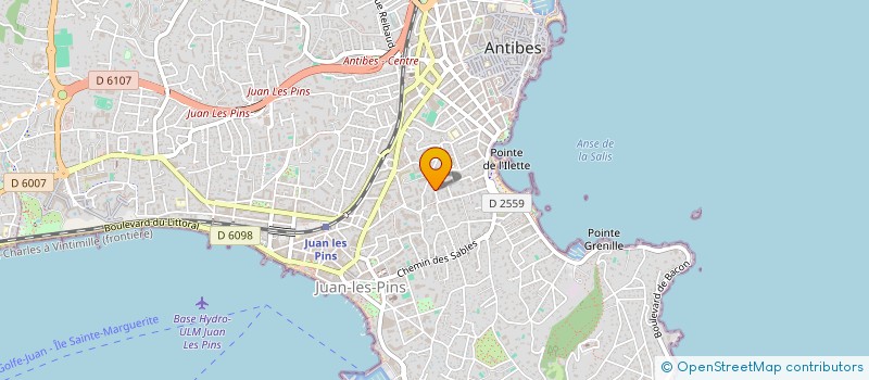 localisation de l'entreprise MADAME ALA SUVALOVA à ANTIBES