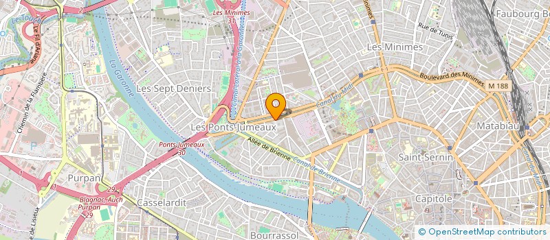 localisation de l'entreprise MADAME ALANNE DENIS à TOULOUSE