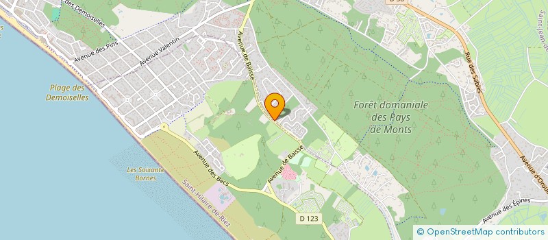 localisation de l'entreprise MADAME ALBERTE RICOLLEAU à SAINT-JEAN-DE-MONTS