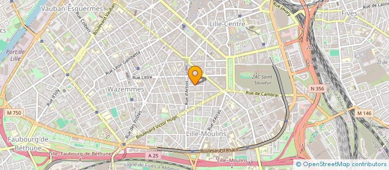 localisation de l'entreprise MADAME ALBERTHA VAN OPSTAL à LILLE