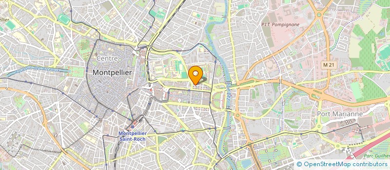 localisation de l'entreprise MADAME ALEESHA PAROTTE à MONTPELLIER