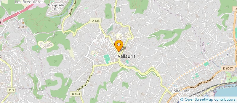 localisation de l'entreprise MADAME ALEIDA SILVA DA ROSA  VALLAURIS