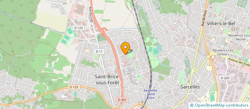 localisation de l'entreprise MADAME ALEJANDRA CARBAJAL BROS  SAINT-BRICE-SOUS-FORET