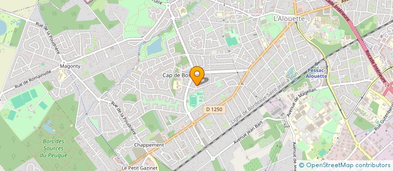 localisation de l'entreprise MADAME ALEJANDRA PICHARDO MALDONADO  PESSAC