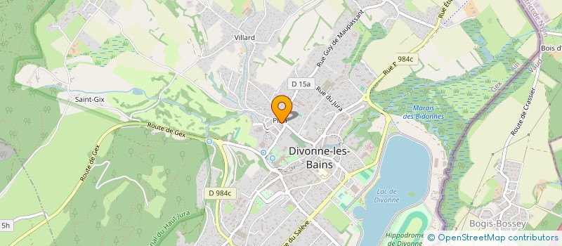 localisation de l'entreprise MADAME ALESHA CHRISTIAN  DIVONNE-LES-BAINS