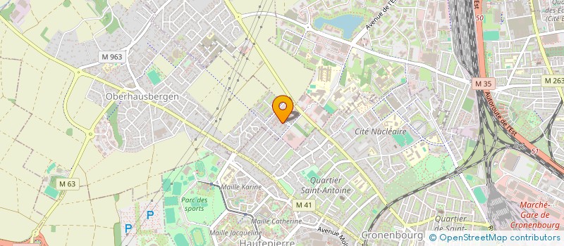 localisation de l'entreprise MADAME ALESIA PALEVICHOK  OBERHAUSBERGEN