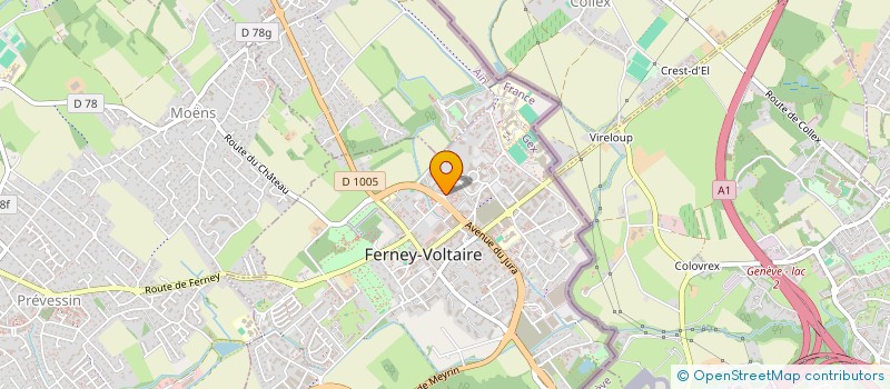 localisation de l'entreprise MADAME ALESSANDRO COMENI à FERNEY-VOLTAIRE