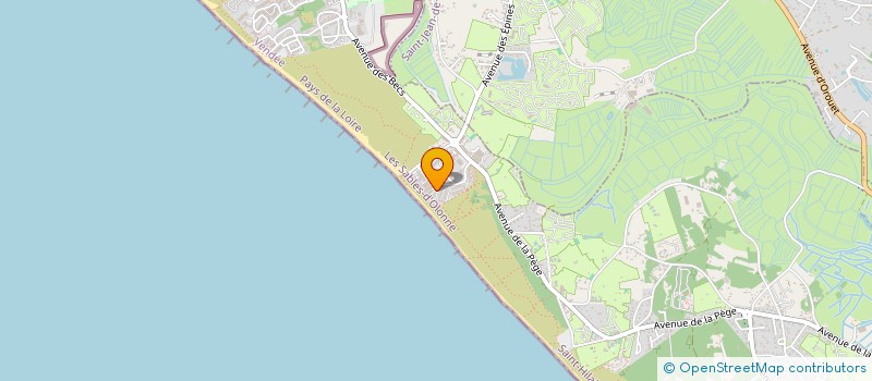 localisation de l'entreprise MADAME ALEXA DELCOURT  SAINT-HILAIRE-DE-RIEZ