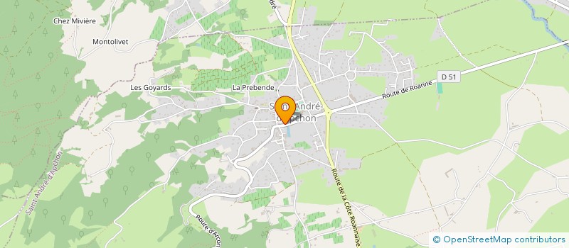 localisation de l'entreprise MADAME ALEXANDRA ALONSO à ROANNE