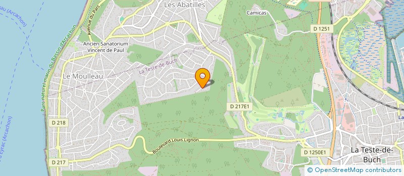 localisation de l'entreprise MADAME ALEXANDRA BAILLARGEAT  LA TESTE-DE-BUCH