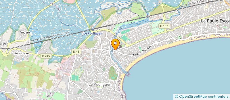 localisation de l'entreprise MADAME ALEXANDRA BRUNEAU à LA BAULE-ESCOUBLAC