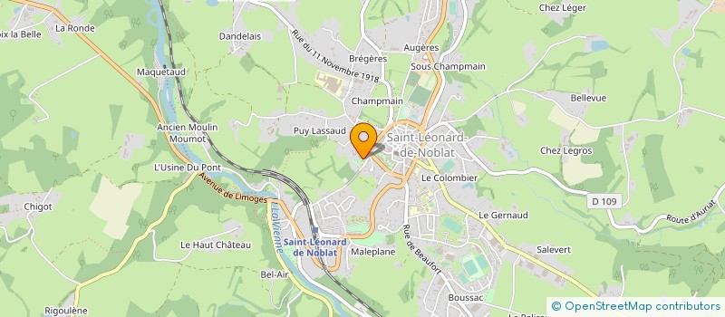 localisation de l'entreprise MADAME ALEXANDRA BUCHER  ST-LEONARD-DE-NOBLAT