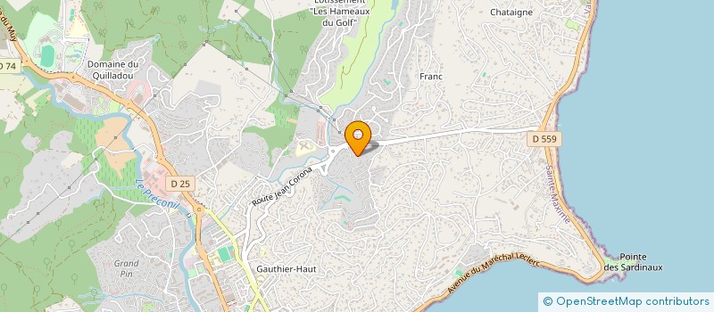 localisation de l'entreprise MADAME ALEXANDRA CHEYNIER à SAINTE-MAXIME