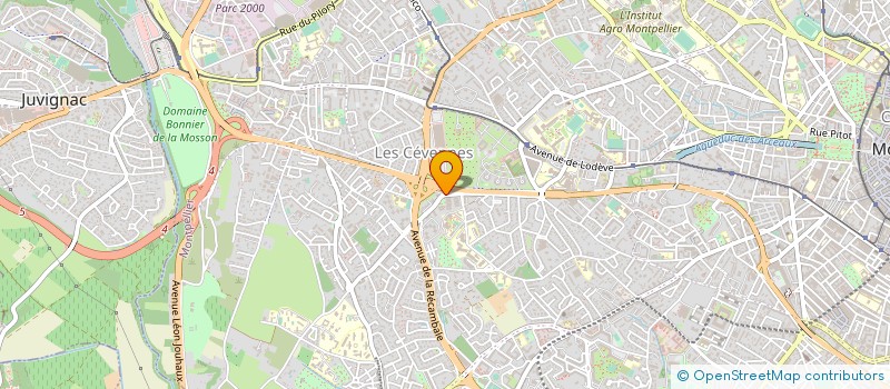 localisation de l'entreprise MADAME ALEXANDRA FEDIDAH à MONTPELLIER