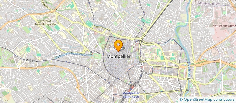 localisation de l'entreprise MADAME ALEXANDRA FLEURIAL à MONTPELLIER