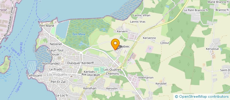 localisation de l'entreprise MADAME ALEXANDRA MARCHAL  LOCMIQUELIC