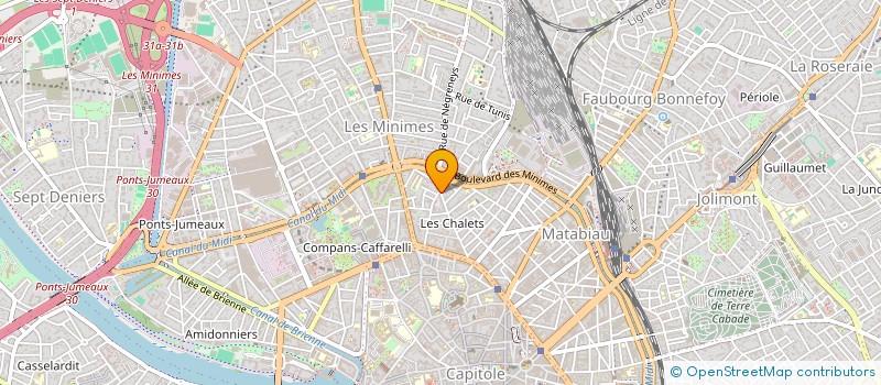 localisation de l'entreprise MADAME ALEXANDRA MICHEL  TOULOUSE