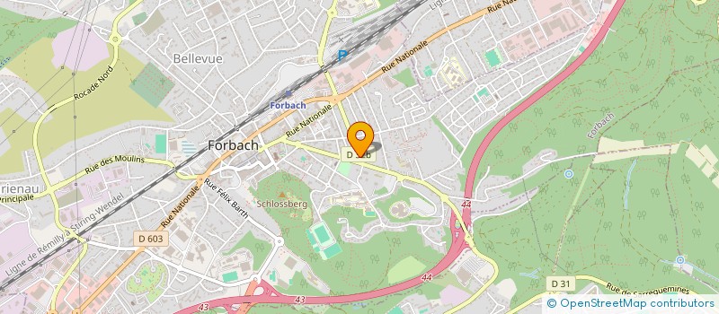 localisation de l'entreprise MADAME ALEXANDRA MLADENOVIC  FORBACH