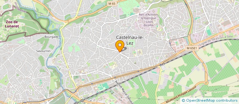 localisation de l'entreprise MADAME ALEXANDRA MOTTE à CASTELNAU-LE-LEZ