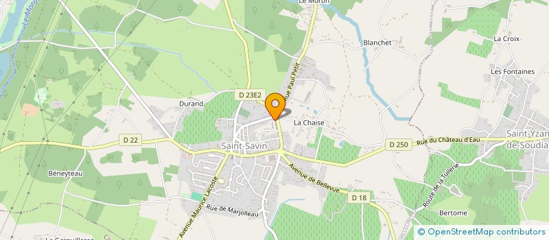 localisation de l'entreprise MADAME ALEXANDRA PERRET  SAINT-SAVIN