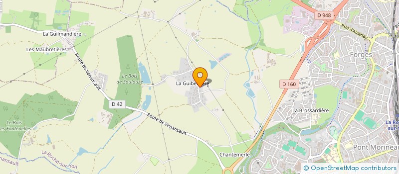 localisation de l'entreprise MADAME ALEXANDRA PICHEREAU à LA ROCHE-SUR-YON