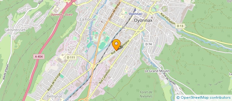 localisation de l'entreprise MADAME ALEXANDRA PODBOJ  OYONNAX