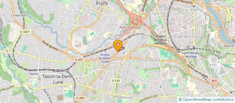 localisation de l'entreprise MADAME ALEXANDRA RICHARD  TASSIN-LA-DEMI-LUNE