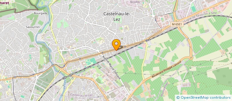 localisation de l'entreprise MADAME ALEXANDRA STURER à MONTPELLIER