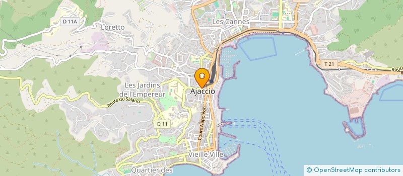 localisation de l'entreprise MADAME ALEXANDRA TAHIR à AJACCIO