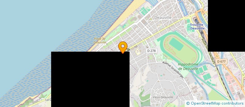 localisation de l'entreprise MADAME ALEXANDRA TEMMAM  DEAUVILLE