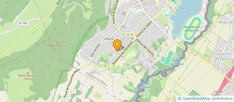 localisation de l'entreprise MADAME ALEXANDRA WEINGAND  DIVONNE-LES-BAINS